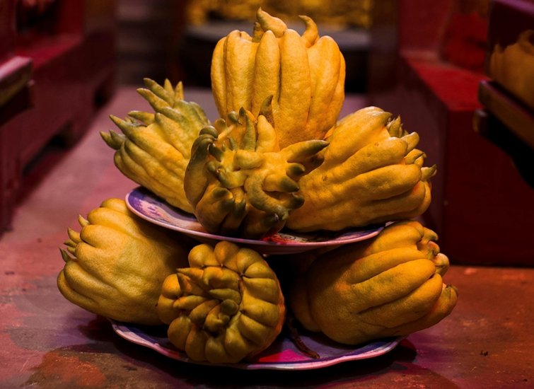 Buddha’s Hand