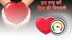 LDL कोलेस्ट्रॉल के लिए रामबाण है ये 4 फल, खून की नलियों में ब्लॉकेज करेगा कंट्रोल, नसों में जमा गंदगी हो जाएगी साफ