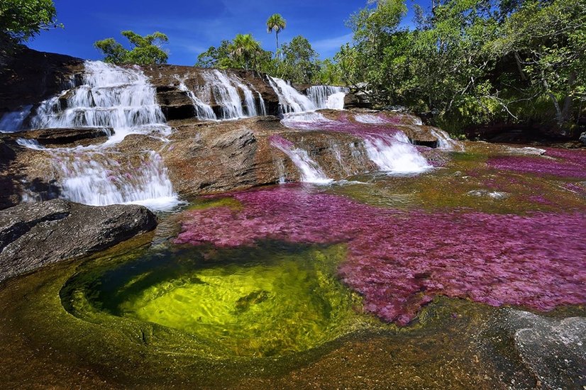 Caño Cristales 2