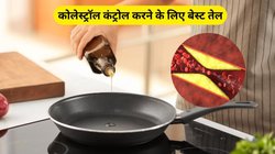 खाने में इन 3 तरह का तेल इस्तेमाल शुरू करने से नसों में जमा सारा कोलेस्ट्रॉल निकल जाएगा बाहर, जानिए कैसे