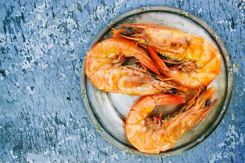 DHA-rich foods for children