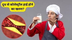क्या दूध पीने से कोलेस्ट्रॉल बढ़ता है? Cholesterol के मरीज कैसे रखें अपना ध्यान, एक्सपर्ट से जानिए