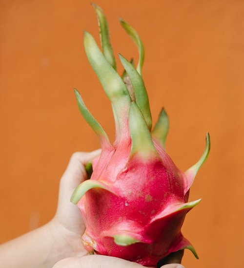Dragon Fruit