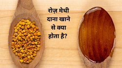 Soaked Fenugreek Seeds Benefits: सुबह खाली पेट भीगे मेथी के दाने चबाने से सेहत पर कैसा होता है असर, रिसर्च से जानिए