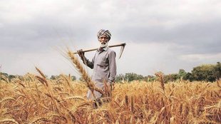Farmer, agriculture