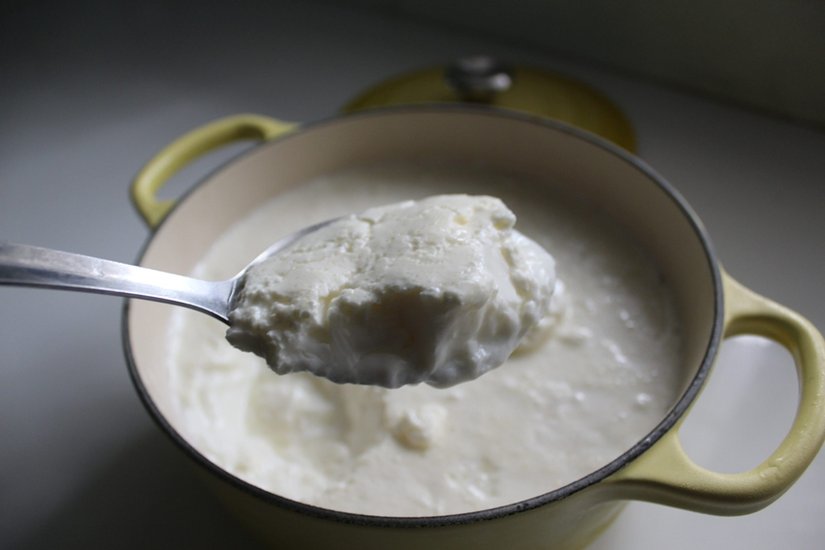 Foods for intelligence