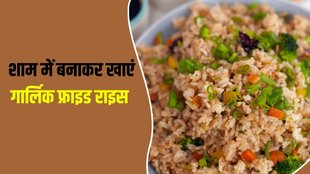 Garlic Fried Rice । Garlic Fried Rice Recipe । Snacks Recipe