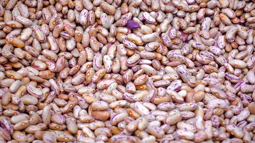 Gas and Acidity from Kidney Beans