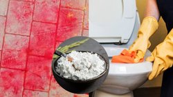 Holi के दिन आपका भी बाथरूम हो गया है कलरफुल? इस तरह मिनटों में क्लीन करें होली का रंग