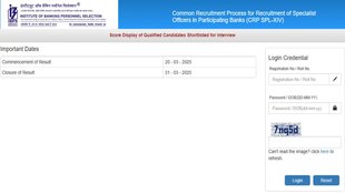 ibps so mains Scorecard released, ibps mains scorecard, ibps.in