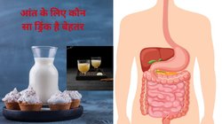 Summer Drink: गट हेल्थ में सुधार के लिए छाछ पिएं या कांजी? कौन सा Fermented Drink आंतों की सेहत के लिए है बेस्ट, जानिए