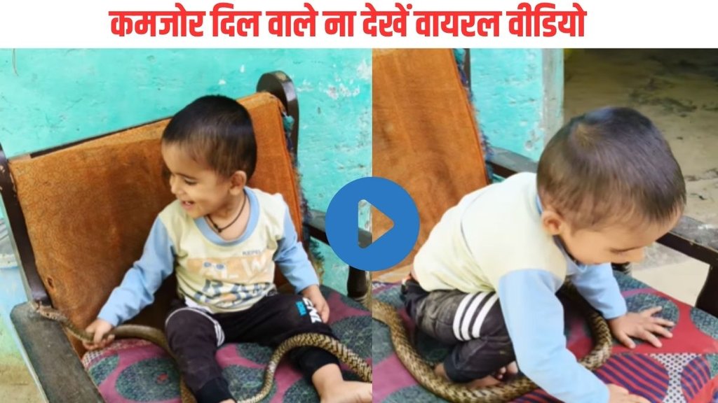 shocking video| Trending video| Viral Video