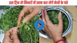 अब मेथी चुनने की टेंशन खत्म; इस कमाल की ट्रिक से 5 मिनट में करें साफ, VIRAL VIDEO देख कहेंगे गजब जुगाड़ है