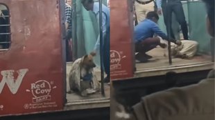 viral video, dog dumped in train, dog viral video