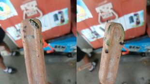 Thailand,snake,ice cream