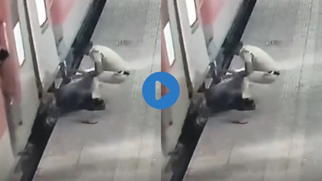 Viral video| Hindi News| RPF Rescue