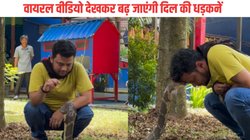 विशायकाय सांप के साथ खेलने लगा शख्स, यूं फन से भिड़ाया अपना सिर, Viral Video देख सन्न रह गए यूजर्स