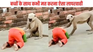 monkey Viral Video| Viral Video| Shocking Video