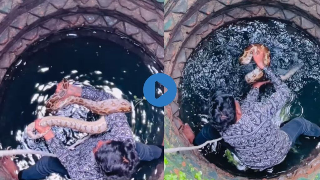 Snake Catcher| Snake rescue| Viral Video
