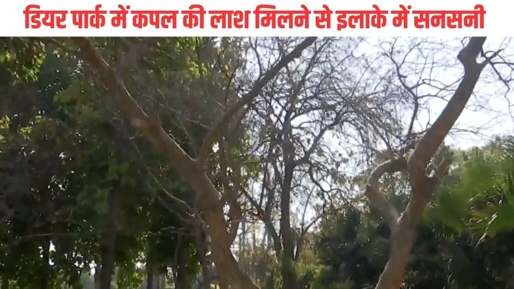 Delhi news| Delhi Couple Suicide| Delhi Deer Park
