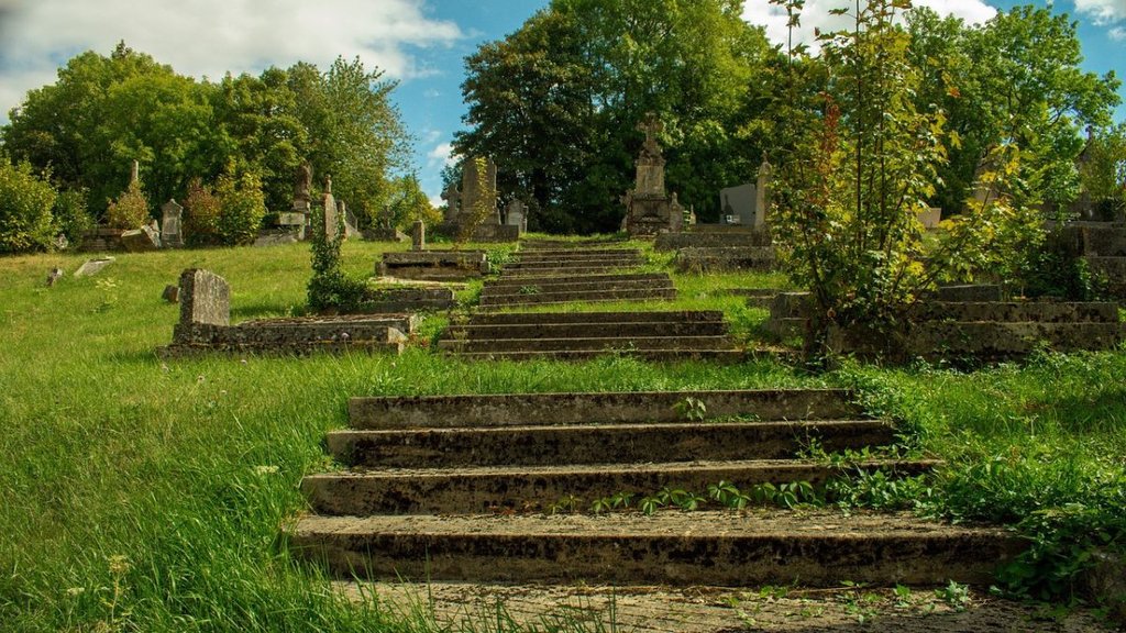 Heart Attack| Kanpur| Kanpur News