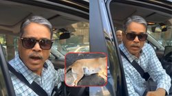 ‘तो क्या हो गया…’; कुत्ते को कार से कुचल कर भाग रहा था शख्स, महिला ने रोका तो की ऐसी हरकत, Viral Video देख आ जाएगा गुस्सा