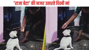 trending Video| Hindi News| Viral Video