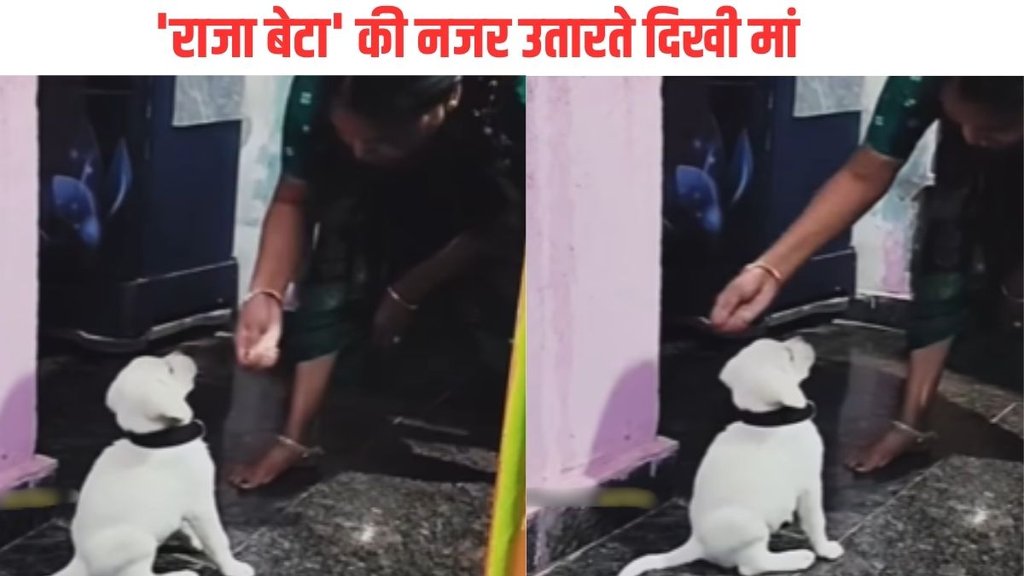 trending Video| Hindi News| Viral Video