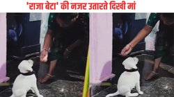‘मां तो मां ही रहेगी…’, पालतू कुत्ते की बिगड़ी तबीयत तो नजर उतारने लगी महिला, Viral Video पर यूजर्स ने ऐसे किया रिएक्ट