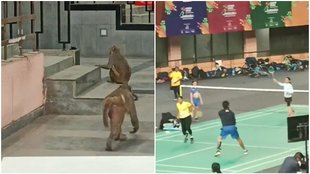 Khelo India, Khelo India Para Games 2025,Khelo India Para Games,Khelo India Para Games 2025 opening ceremony