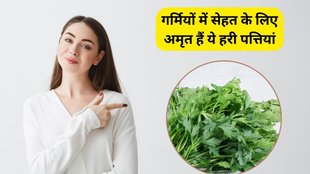 hara dhania benefits, hara dhania, dhania banefits, health news, health benefits, health tips, dhania khane ke fayde, dhania kyu khana chaiye, dhaniya ke fayde