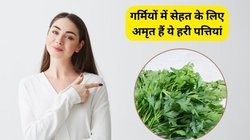 छोटी सी इन हरी पत्तियों को रोज़ दही या सब्जी के साथ मिक्स करके खा लें, 5 बीमारियों से मिल जाएगा छुटकारा, आचार्य बालकृष्ण से जानिए फायदे
