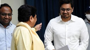 Mayawati news, akash anand, up politics,