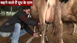 Milk Price: इस राज्य के लोगों को लगने वाला है महंगाई का झटका, बढ़ाए जाएंगे दूध के दाम, मुख्यमंत्री लेंगे आखिरी फैसला