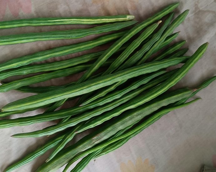 Moringa leaves benefits