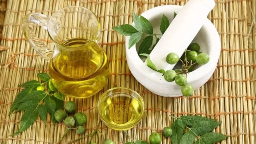 Neem Oil and Coconut Oil