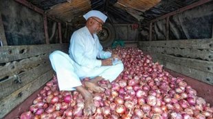 Onion export Duty, Onion Price, Onion Farmers
