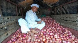 किसानों को मोदी सरकार का बड़ा तोहफा! प्याज पर लगने वाला टैक्स पूरी तरह खत्म, अब नहीं लगेगी 20 प्रतिशत एक्सपोर्ट ड्यूटी