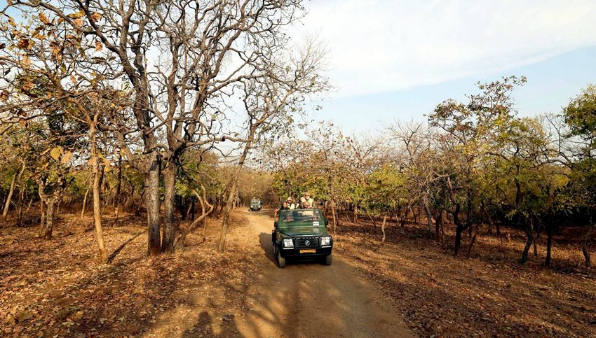 Narendra Modi Gir Wildlife