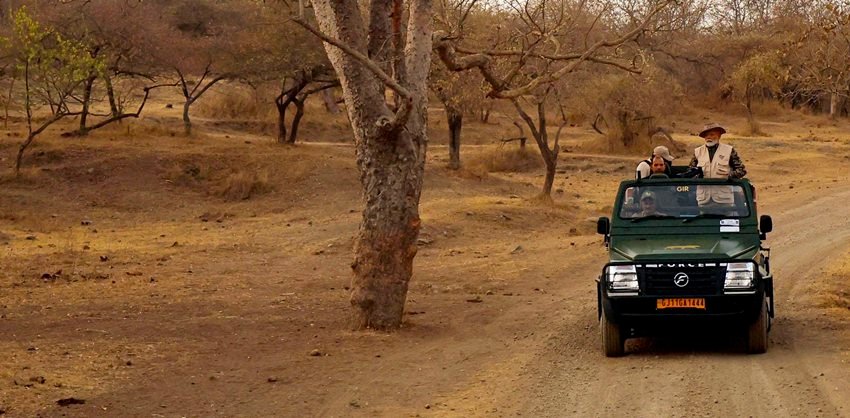 gir forest