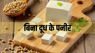 Paneer without Milk । How To Make Paneer Without Milk । make paneer without milk