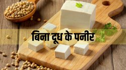 दूध नहीं… इस एक चीज से बनाएं मुलायम Paneer, घर पर ऐसे करें आसानी से तैयार