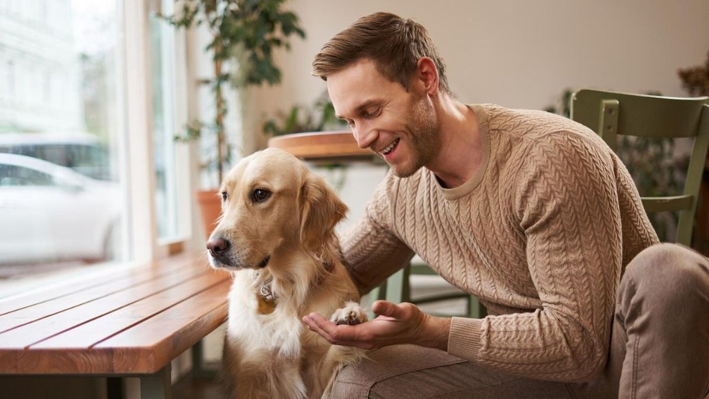Pet Care Tips । Responsible Pet Care Tips। General Dog Care