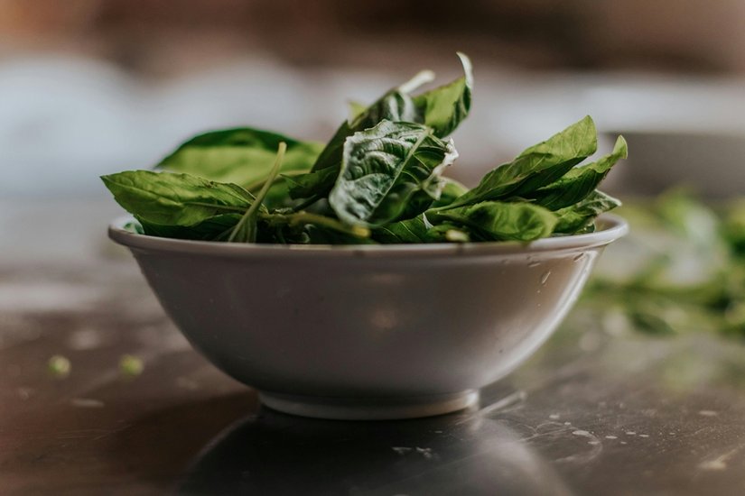 Protein-rich foods for kids