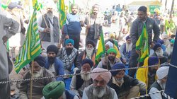 Rajasthan Farmers Protest: पाकिस्तान को पानी दिए जाने के खिलाफ क्यों प्रदर्शन कर रहे हैं राजस्थान के किसान?