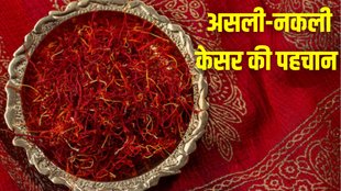 Real vs Fake Saffron । Fake Saffron । Real Saffron