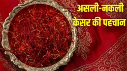 Real vs Fake Saffron: केसर असली है या नकली, इन तरीकों से आसानी से करें पहचान