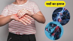 नसें हो रही हैं कमजोर तो दूर करेगा ये पावरफुल घरेलू उपाय, ब्लॉकेज का खतरा भी हो जाएगा छूमंतर, एक्सपर्ट से जानिए फायदे