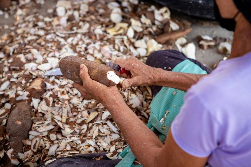 Where is Sabudana found the most in India