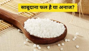 Sabudana is Grain or Fruits?